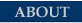 About Capstone Group